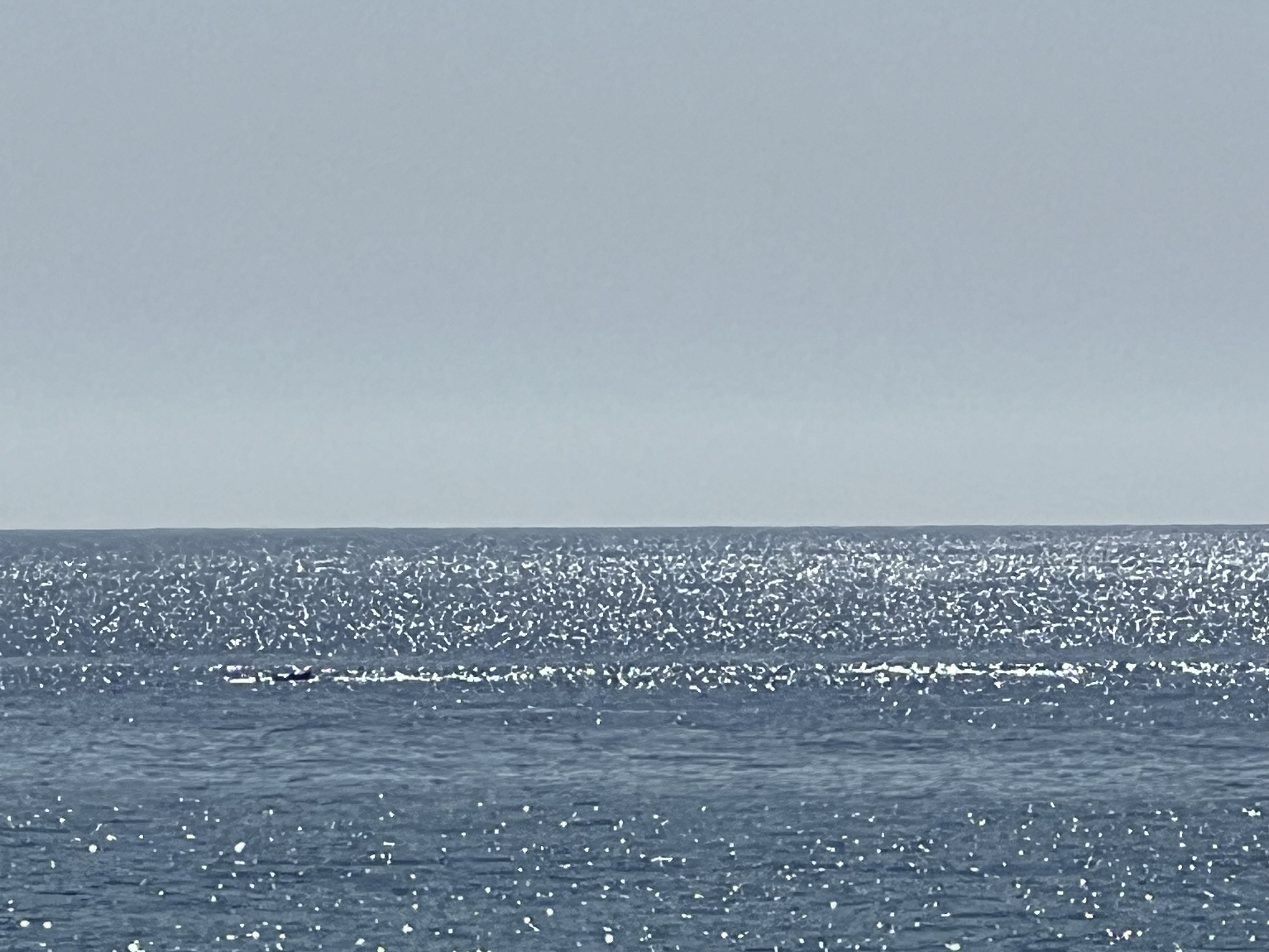 ./2024/13 - Cabo/IMG_4599.jpg